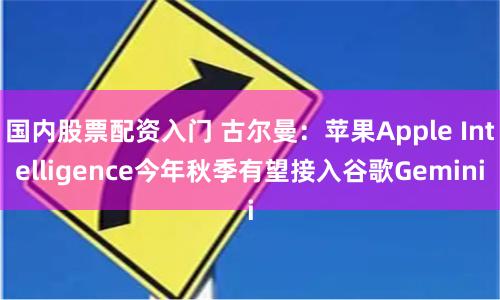 国内股票配资入门 古尔曼：苹果Apple Intelligence今年秋季有望接入谷歌Gemini